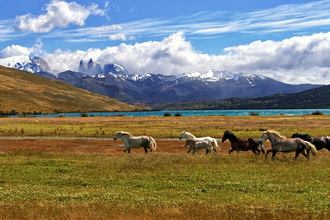 阿根廷：潘帕斯草原上的高乔骑马探险