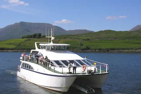 County Galway Killary Fjord 1.5-Hour Sightseeing Cruise