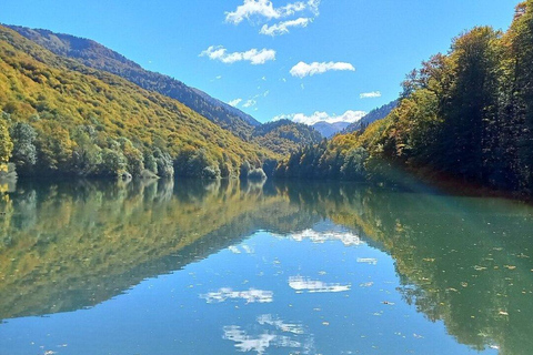 Montenegro: Biogradska Gora National Park Day Trip