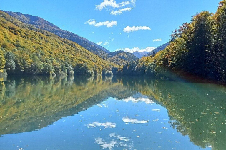 Montenegro: Biogradska Gora National Park Day Trip