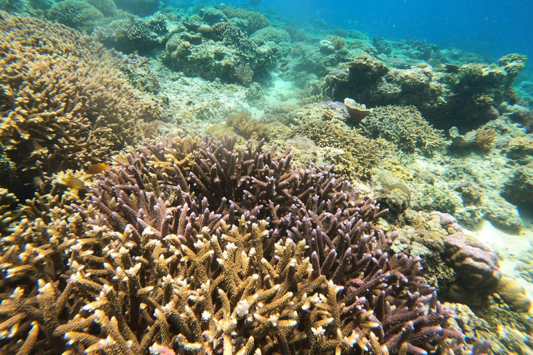 Isla Gili : Excursión privada de snorkel 3 Isla Gili + GOPRO