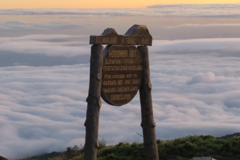 Marangu 6 días de ascenso al Kilimanjaro: La cumbre del techo de África