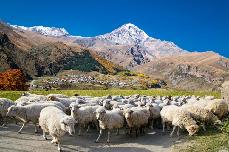 Tbilisi: Gudauri & Kazbegi Winter Action – Pickup & Views