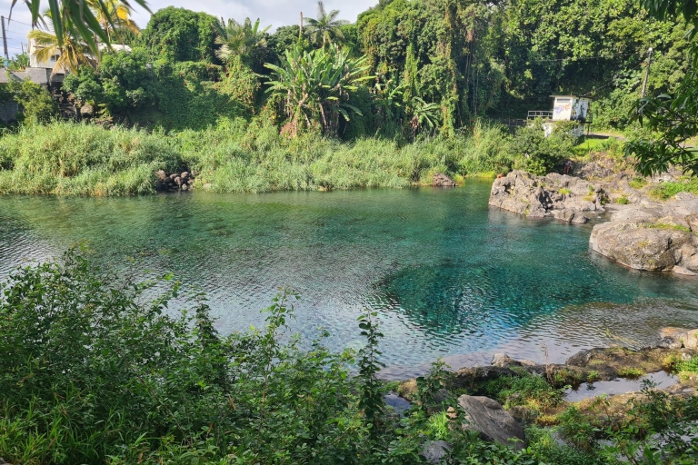 Isla Reunión: Tour de día completo con desayunoposibilidad de guiar a los intérpretes