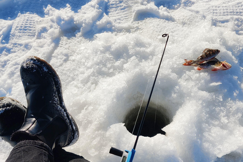 Rovaniemi: Ice Fishing Trip with Guide