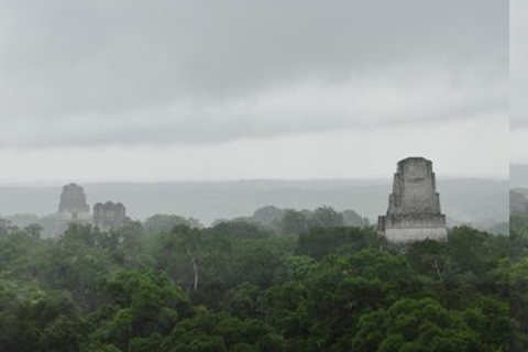 危地马拉城：乘飞机前往蒂卡尔的全天旅行危地马拉城：蒂卡尔航空全日游
