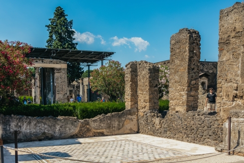 Pompeya: tour al parque arqueológico con entrada sin colas