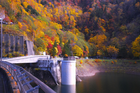 Sapporo in Autumn: Hoheikyo Dam and Hoheikyo Onsen Tour
