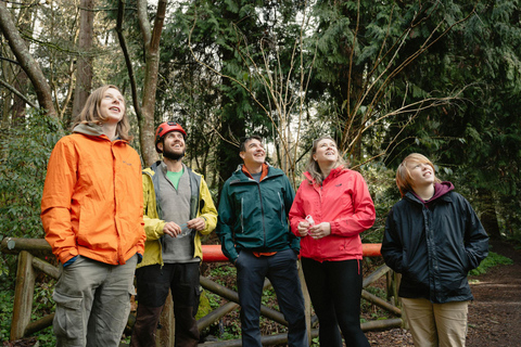 Vancouver Tree Climbing Tour: Canopy Expedition Adventure