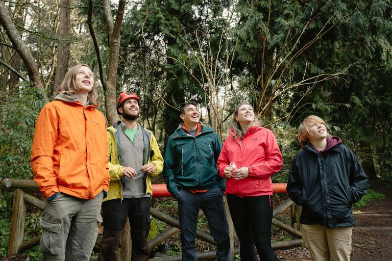 Vancouver Tree Climbing Tour: Canopy Expedition Adventure