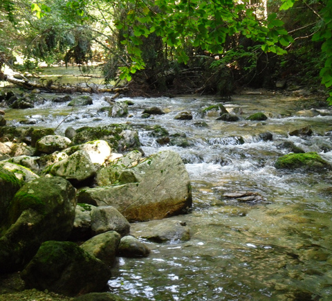 Natura i przygoda