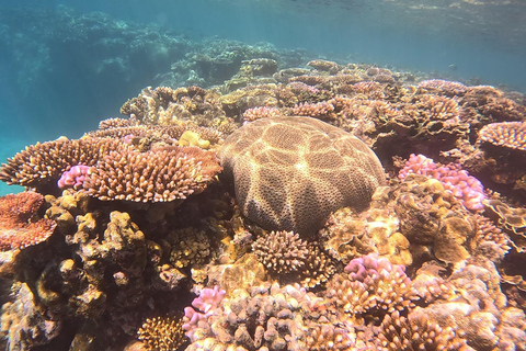 Port Vila: Kayaking & Snorkelling Tour with Turtles & lunch Full Day - Kayaking & Snorkeling Tour with Lunch & Pickup