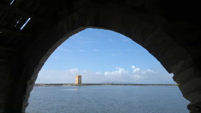 private fullday west sicily wine tour from palermo