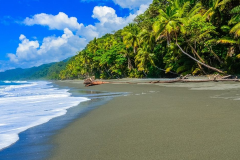 Parco Nazionale del Corcovado: Tour guidato a piedi - Giorno intero