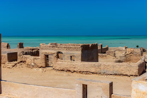 شمال قطر: قلعة الزبارة، قرية الجميل، أشجار القرم في الذخيرة