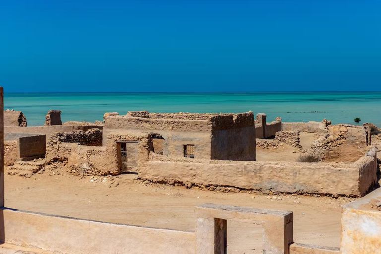 شمال قطر: قلعة الزبارة، قرية الجميل، أشجار القرم في الذخيرة