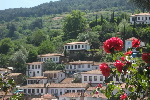 Ephesus and Sirince Tour from Izmir / Kusadasi
