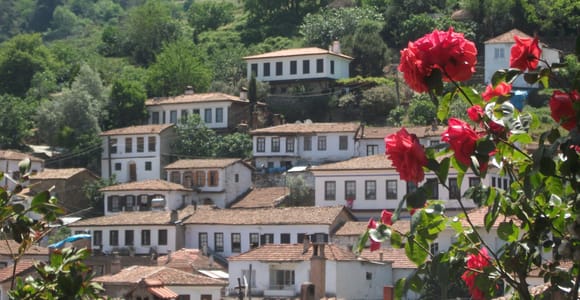 Ephesus & Sirince from Izmir/Kusadasi: Entry Fees Included