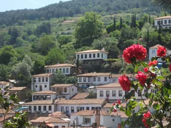 Ephesus and Sirince Tour from Izmir / Kusadasi