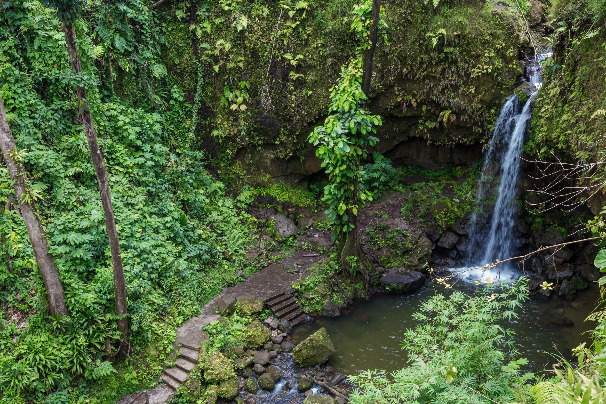 Dominica: Ausflug zum Emerald Pool und zum Mero Beach