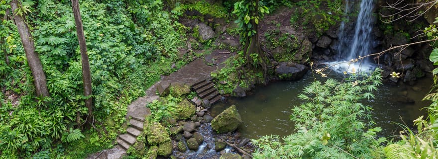 Dominique : excursion à la piscine Émeraude et à la plage de Mero