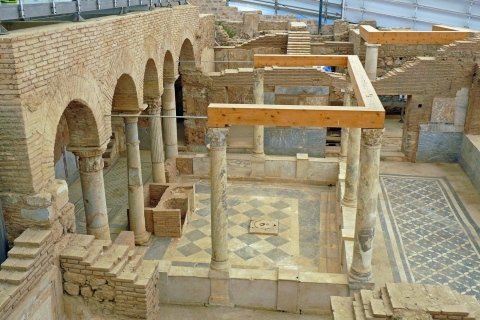 Ephèse: visite d'une journée avec maisons en terrasseEphèse: visite privée d'une journée au départ de Kusadasi