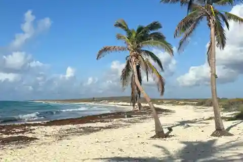 Cozumel: Private Island Tour
