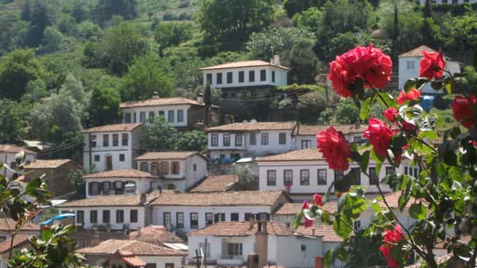 ephesus sirince village tour from İzmir
