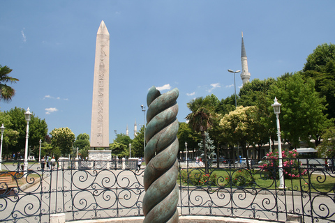 Istanbul: tour di mezza giornata inclusa la Basilica di Santa Sofia