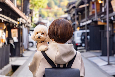 Shiragawago,Hida Takayama UNESCO excursão de 1 dia a partir de Nagoya