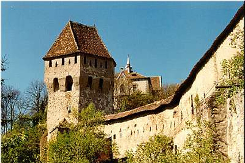 Draculas Schloss & Sighisoara 2-Tages-Tour ab Bukarest