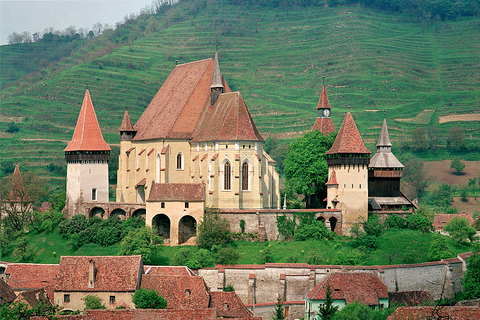 Tour di 2 giorni del castello di Dracula e di Sighisoara da Bucarest