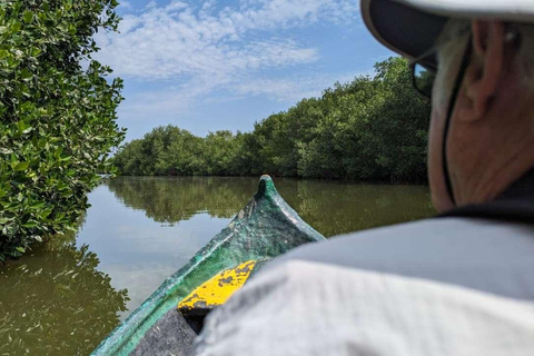 Cartagena Mangrove Tour