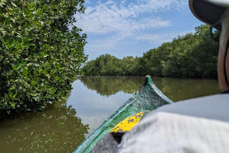 Cartagena Mangrove Tour