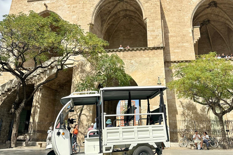 Valencia - Complete TukTuk Tour 2H