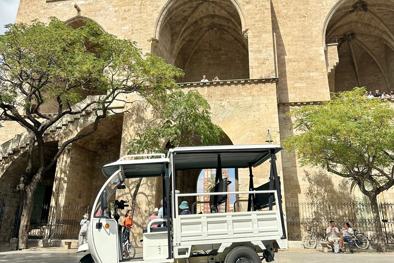 Valencia - Komplette TukTuk Tour 2H