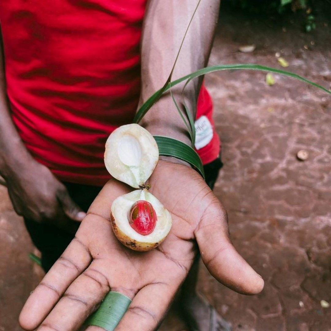 Historical Buildings