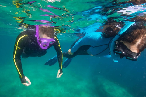 Marseille: Snorkeling Excursion to the Frioul Islands