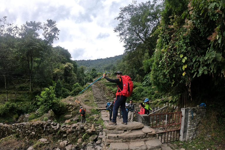 Pokhara: Szybki trekking do bazy pod Annapurną