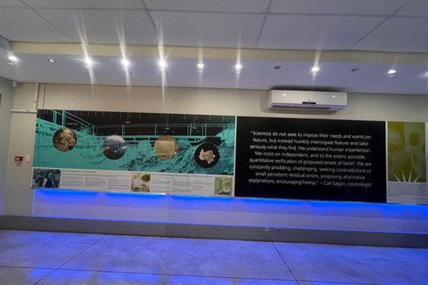 From Johannesburg: Sterkfontein Caves & Maropeng Tour