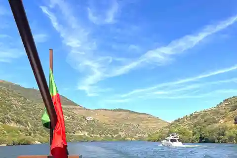 Do Porto: Passeio pelo Vale do Douro, 2 vinícolas, almoço e cruzeiro guiado
