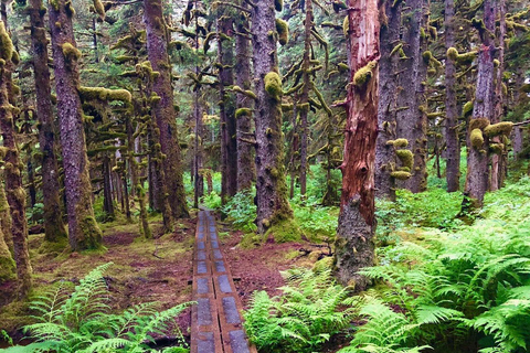 Kodiak: Rainforest Hike with Naturalist Guide
