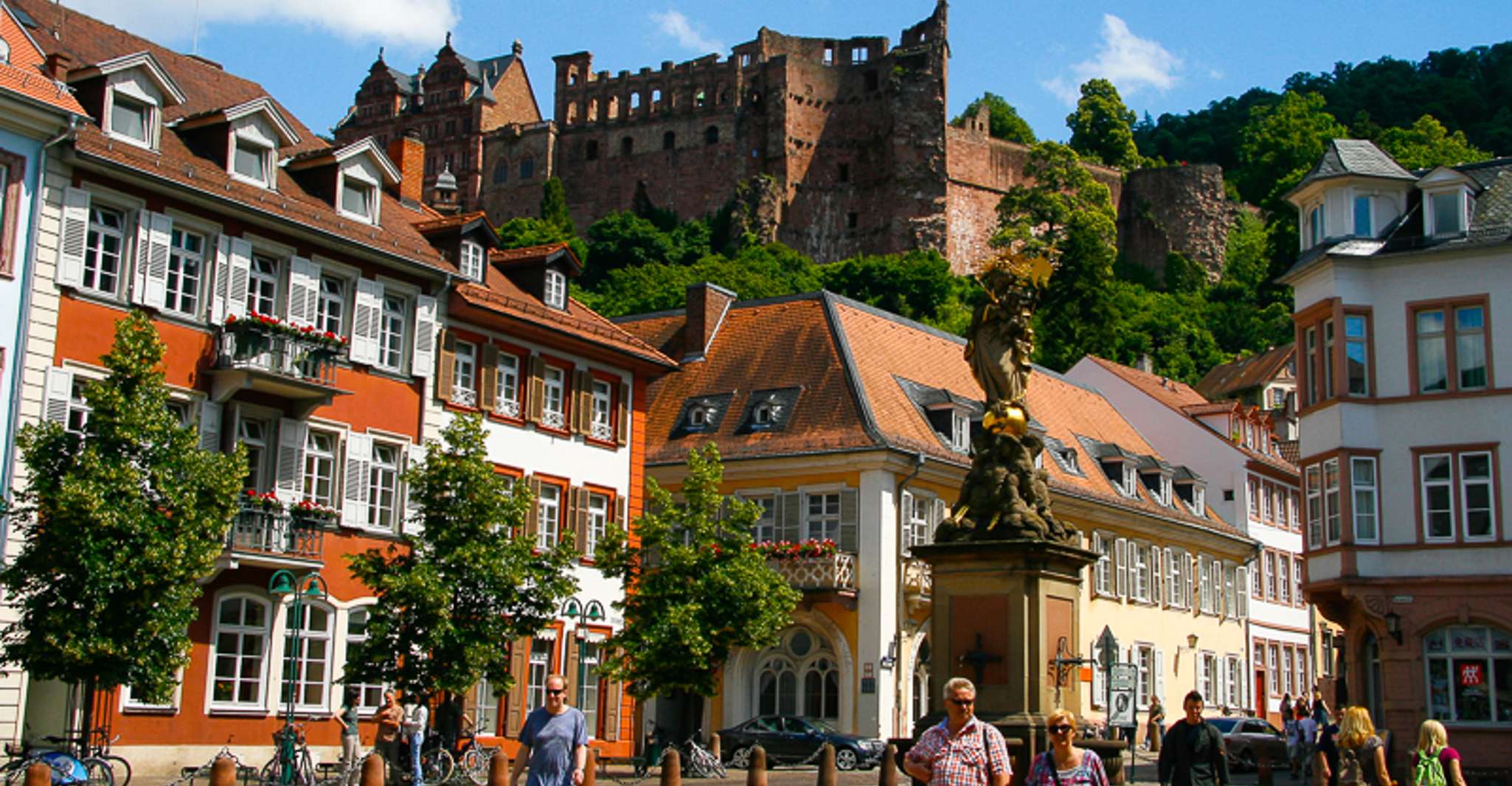 Heidelberg, private 3-Stunden-Tour mit Schlossbesuch - Hizvo