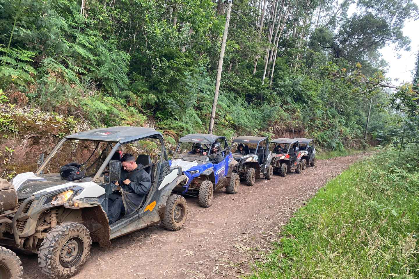 Внедорожное приключение на багги