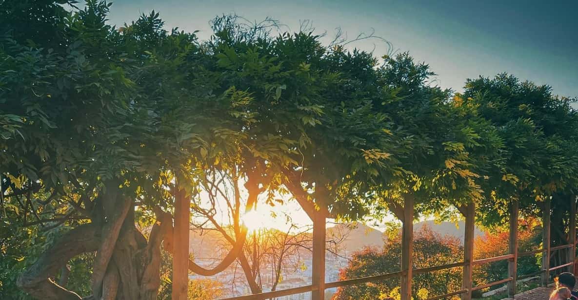 Afbeelding 5 van Graz: Met de kabelbaan en picknick op de Schlossberg