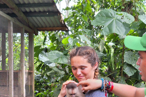 Iquitos: La Isla de los Monos con almuerzo y recogida en el hotelIquitos: Excursión a la Isla de los Monos con almuerzo y recogida en el hotel