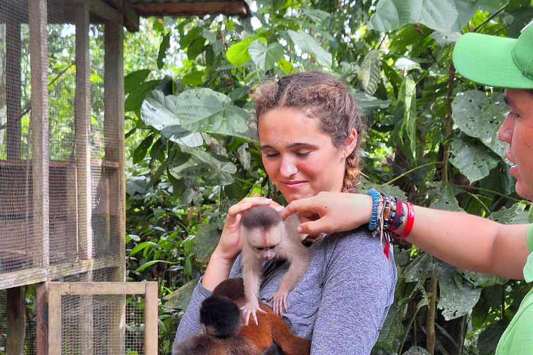 Iquitos: La Isla de los Monos con almuerzo y recogida en el hotelIquitos: Excursión a la Isla de los Monos con almuerzo y recogida en el hotel