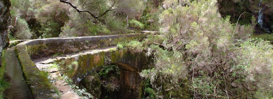 Madère : Promenade guidée de 3 heures dans les vallées de Rabaçal