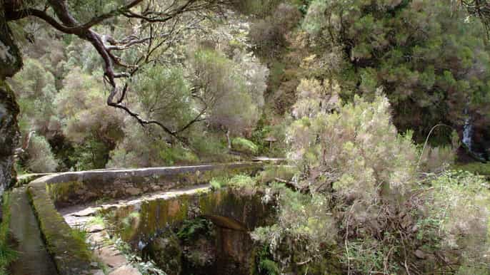 madeira rabaçal valleys 3hour guided walk
