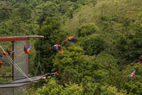 Catemaco & Tuxtlas Tagesausflug von Veracruz (typisches Boot) - Hizvo
